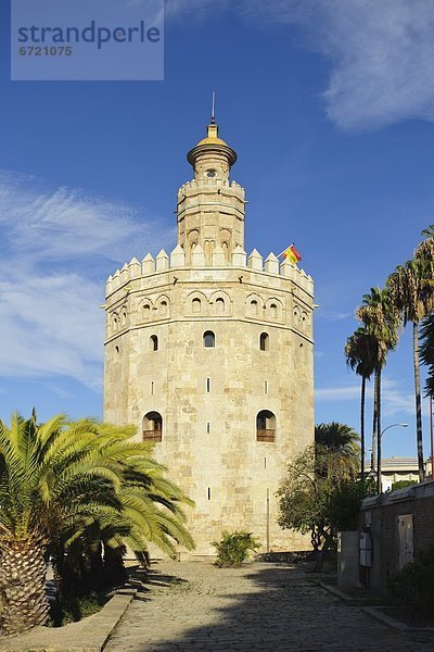 Sevilla  Spanien  Torre Del Oro