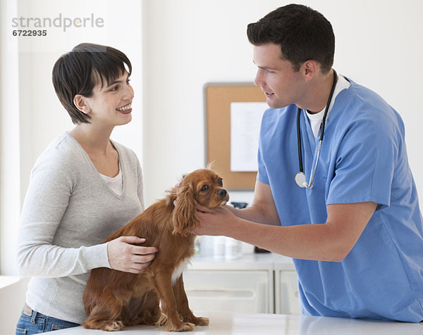 Hund  Inhaber  Tierarzt