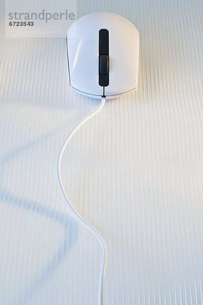 Computermaus Maus computer mouse