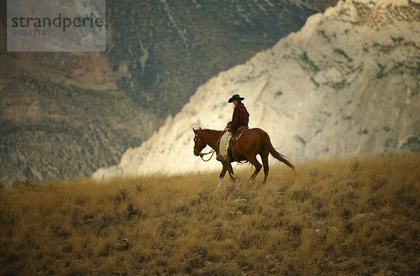 Horseback rider