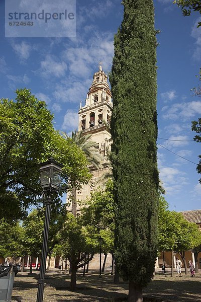 Kathedrale  Glocke