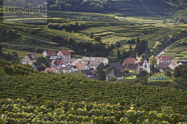 Kirche  Dorf  umgeben  Weinberg  deutsch