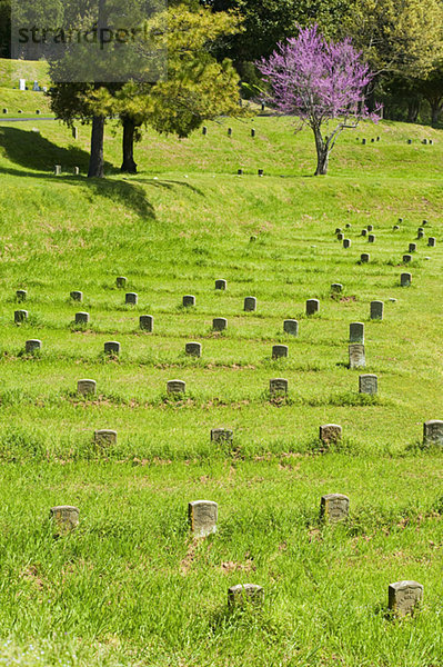Friedhof  Militär  Vicksburg