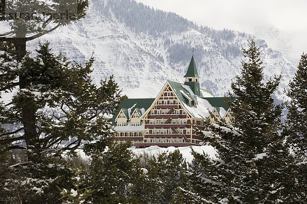 Berg  Winter  bedecken  Baum  Hotel  Rahmen  immergrünes Gehölz  Schnee  Wales