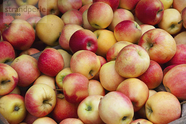 Blumenmarkt  Haufen  Apfel  Markt