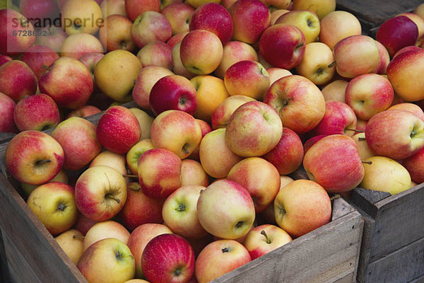 Blumenmarkt Haufen Apfel Markt