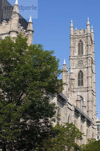 Basilika  Montreal  alt