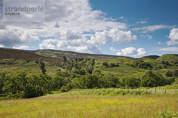 Landschaft  Hügel