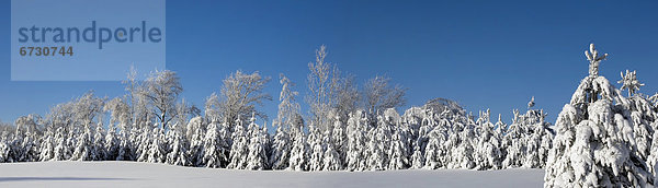 Panorama  Winter