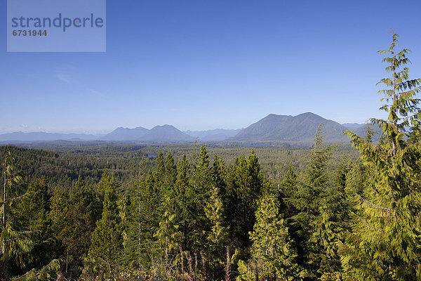 nahe  Berg  Hügel  Pazifischer Ozean  Pazifik  Stiller Ozean  Großer Ozean  Ansicht  hinaussehen  zeigen  Tofino  British Columbia  Regenwald