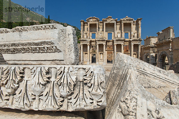 Truthuhn  Celsus Bibliothek  Ephesos  Türkei