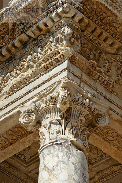 Truthuhn  Säule  Bibliotheksgebäude  Ephesos  Türkei
