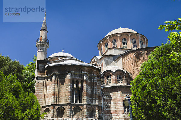 Truthuhn  Kirche  Istanbul  Türkei