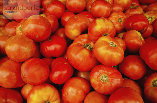Tomate  schießen  Studioaufnahme