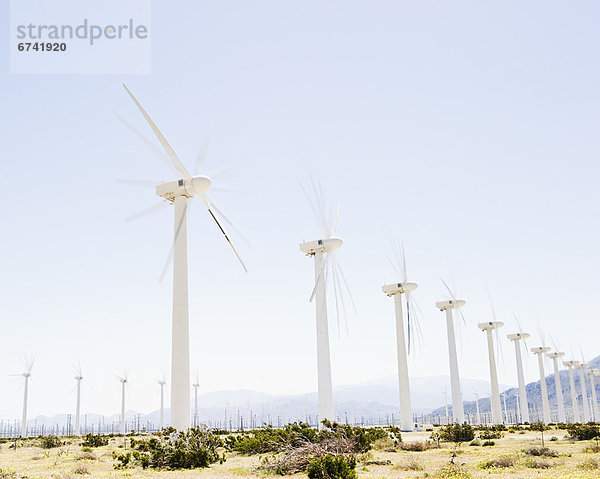 Vereinigte Staaten von Amerika USA Windturbine Windrad Windräder Berg Hintergrund Kalifornien Palm Springs