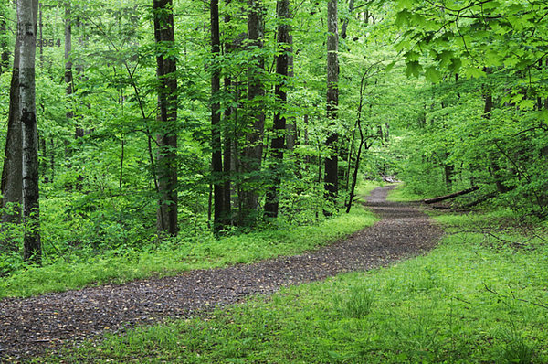 leer  Landschaftlich schön  landschaftlich reizvoll  Weg