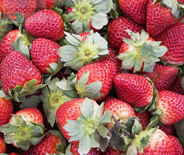 Produktion  Erdbeere