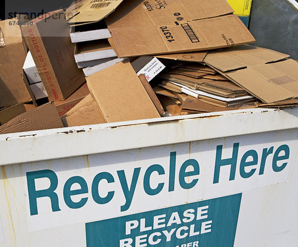 Recycling  füllen  füllt  füllend  Müllcontainer  Pappe