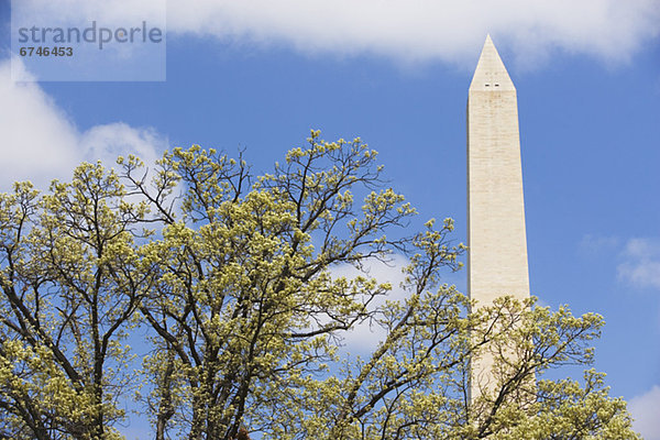 Washington DC  Hauptstadt  Vereinigte Staaten von Amerika  USA  Washington Monument