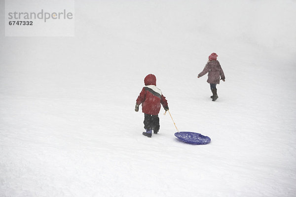 hoch  oben  ziehen  Hügel  Schnee  Schlitten