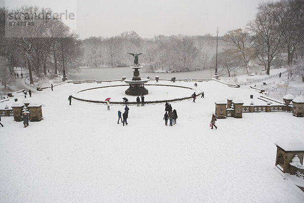 Central Park im winter