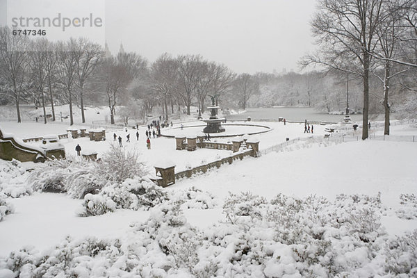 Central Park im winter