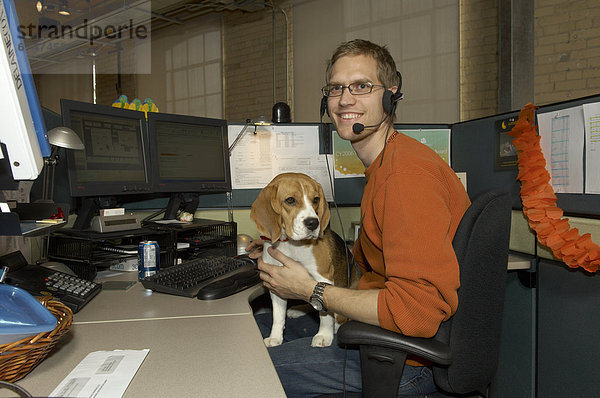 Mann  Schreibtisch  Büro  Beagle