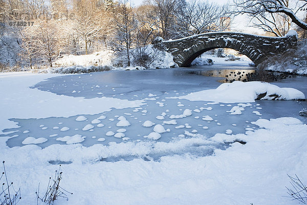 Vereinigte Staaten von Amerika  USA  Winter  New York City  Ansicht  Mittelpunkt