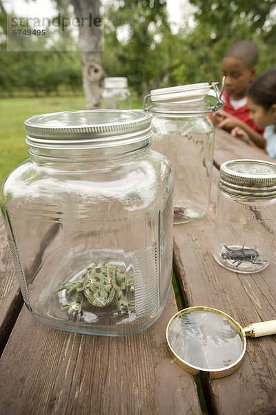 Jars with Insects on Table  Kids in Background