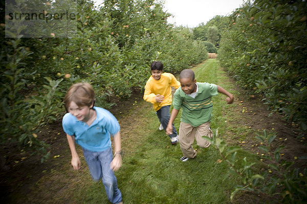 Junge - Person  rennen  Bauernhof  Hof  Höfe  Apfel