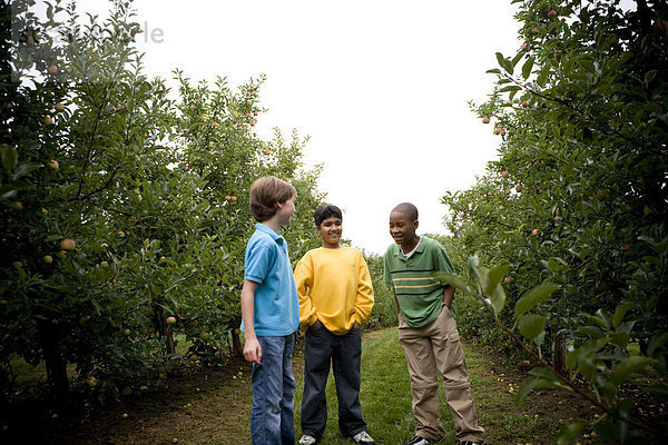Junge - Person  Bauernhof  Hof  Höfe  Apfel