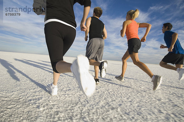 Mensch  Vereinigte Staaten von Amerika  USA  Menschen  Menschengruppe  Menschengruppen  Gruppe  Gruppen  rennen  Speisesalz  Salz  Utah