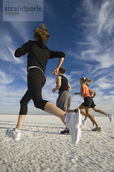 Mensch  Vereinigte Staaten von Amerika  USA  Menschen  Menschengruppe  Menschengruppen  Gruppe  Gruppen  rennen  Speisesalz  Salz  Utah