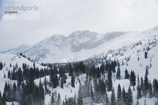 Vereinigte Staaten von Amerika  USA  Wasatch Range  Utah