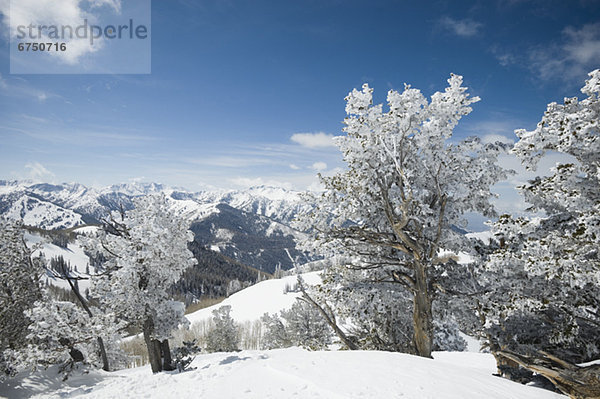 Vereinigte Staaten von Amerika  USA  Wasatch Range  Utah