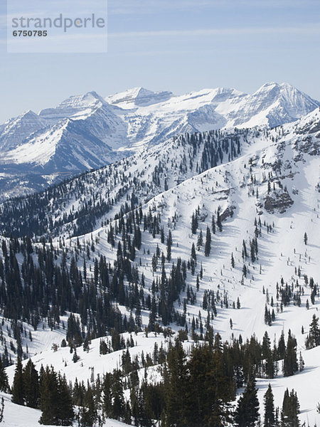 Vereinigte Staaten von Amerika  USA  Wasatch Range  Utah