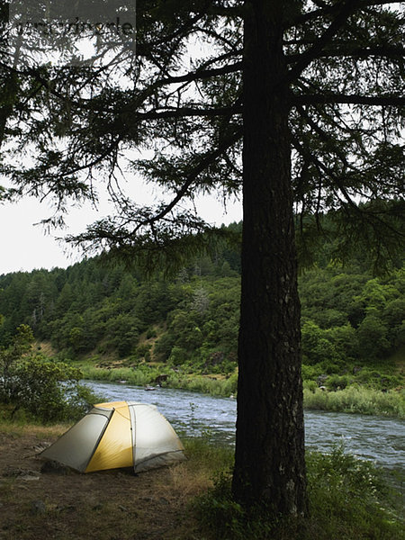 Campingplatz  Zelt  Fluss