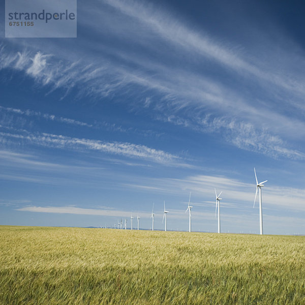 Windmühle Windpark