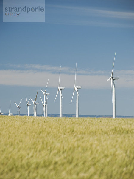 Windmühle Windpark