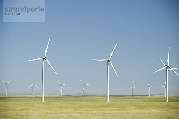 Windmühle Windpark