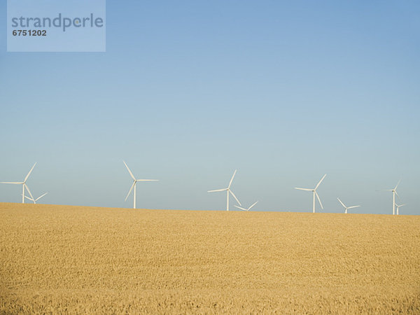 Windmühle Windpark