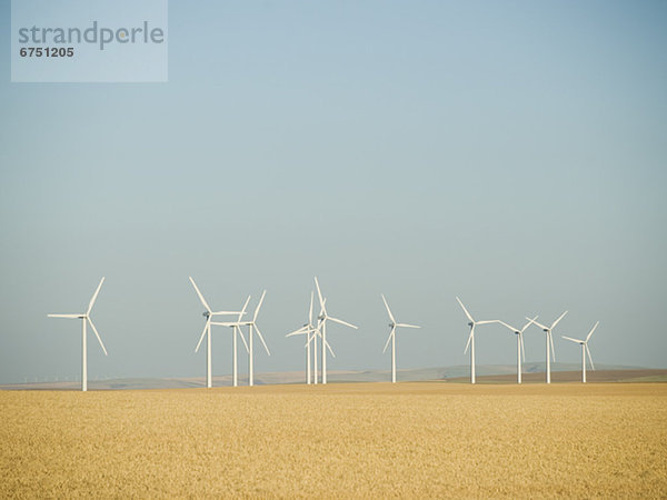 Windmühle Windpark