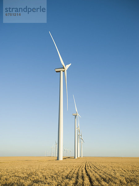 Windmühle Windpark