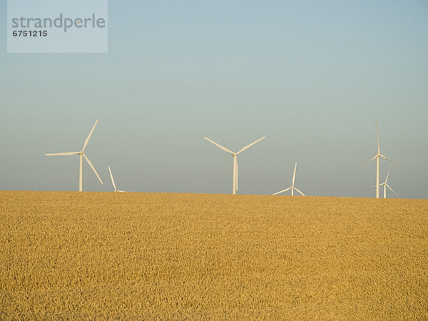 Windmühle Windpark