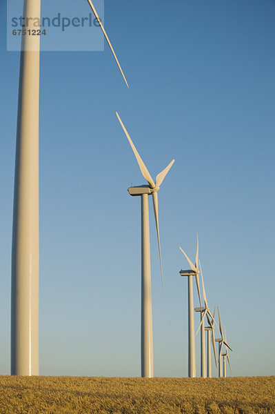 Windmühle Windpark