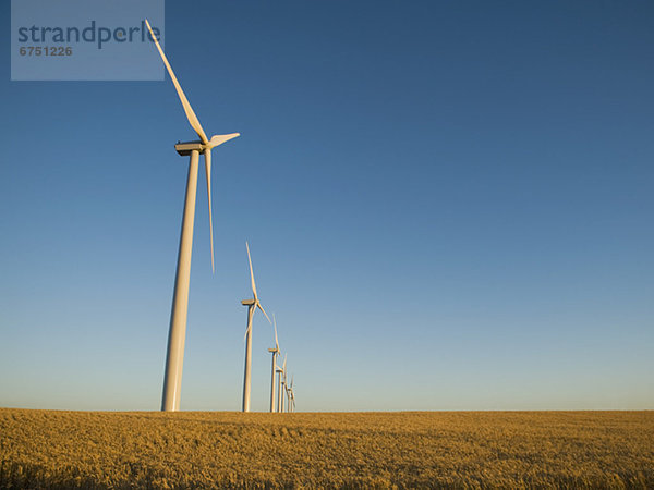 Windmühle Windpark