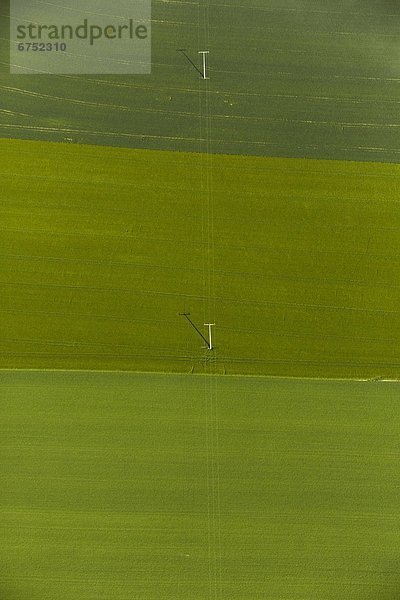 Telefonmasten auf grünen Feldern  Luftbild