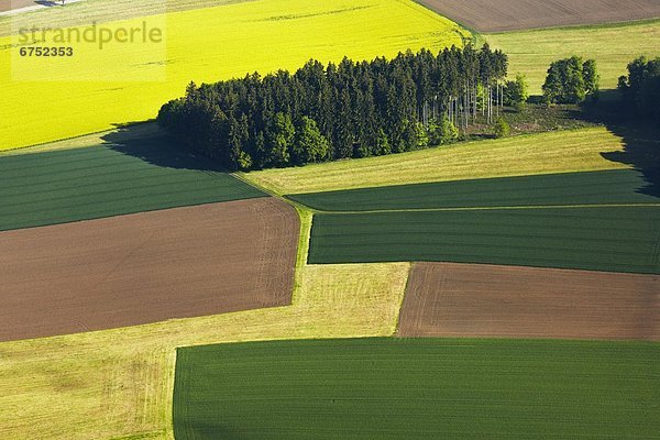 Felder  Wiesen und Waldfläche  Luftbild