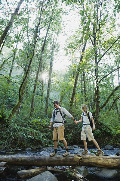 gehen  wandern