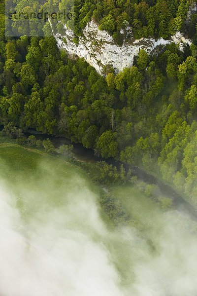 Morgennebel mit Wald und Felsen im Donautal  Luftbild